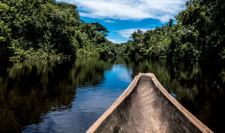 Maestría en Control de Enfermedades Infecciosas y Tropicales